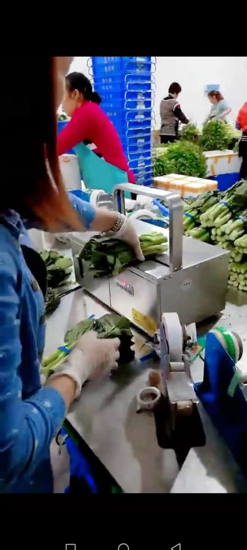 智能设备赋能工厂，销量翻番的幕后故事